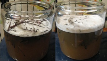 schuimig fermenteren t 'EJ met de inchet nog in het mengsel